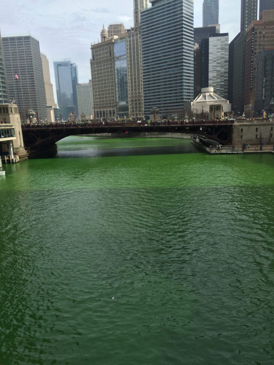 The Chicago River dyed bright green with downtown buildings behind it.