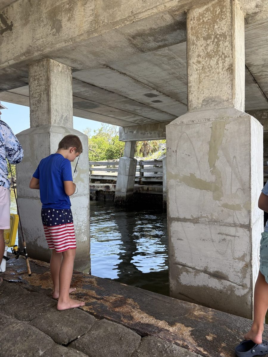 A boy fishing from the rocks under a concrete bridge.