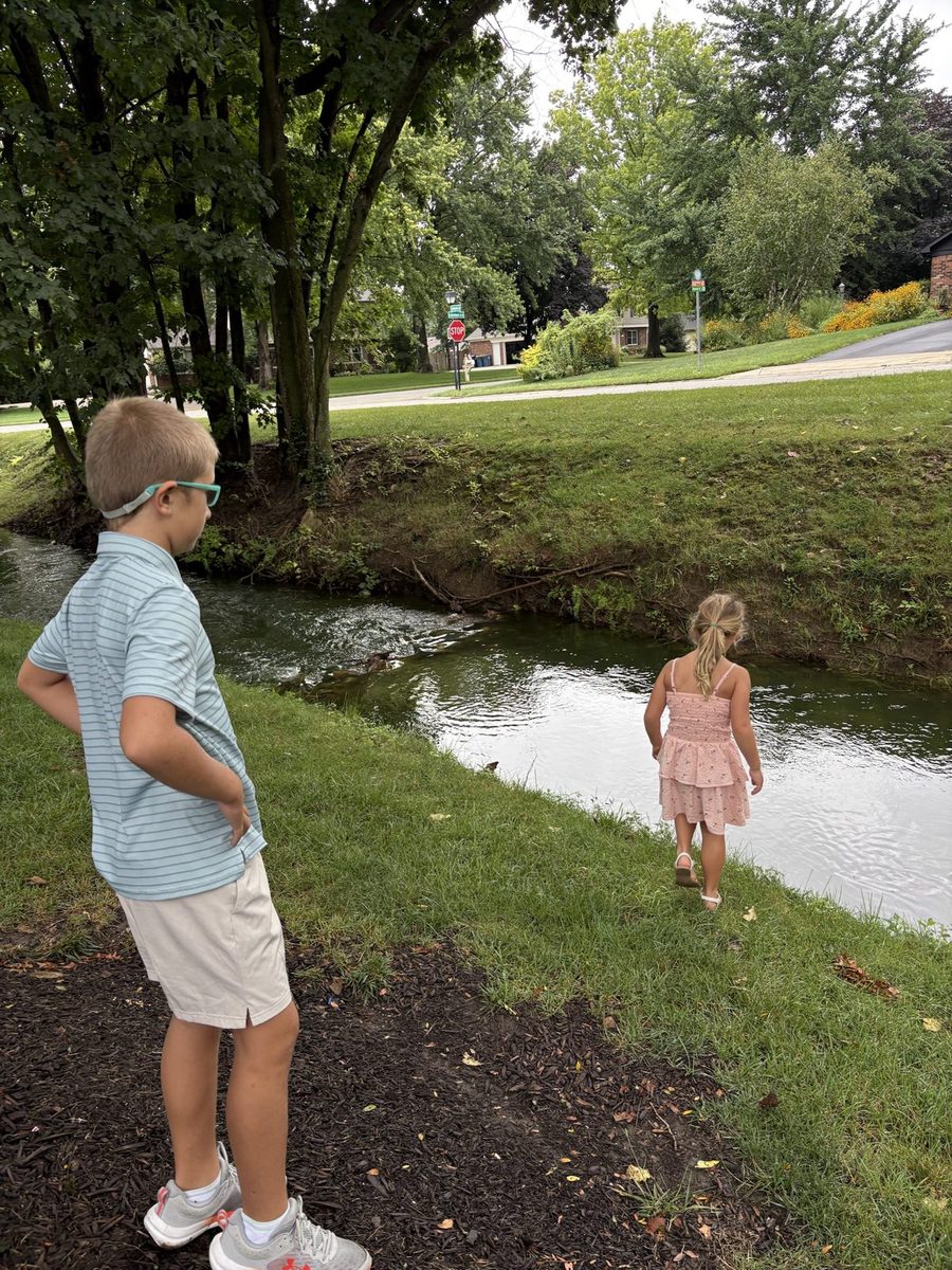 A boy and a girl exploring the bank of a creek in a park.